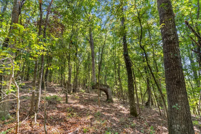 $850,000 | 635 Royal Road, Girard, GA 30426