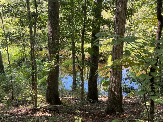 $850,000 | 635 Royal Road, Girard, GA 30426