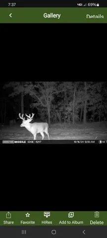 $850,000 | 635 Royal Road, Girard, GA 30426