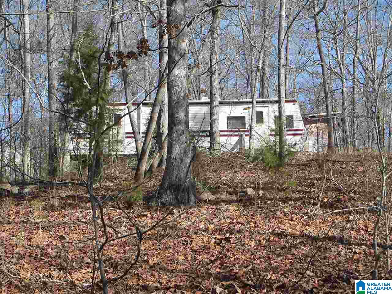 0 County Road 256 Wedowee, AL 36278 - Photo 4 of 8