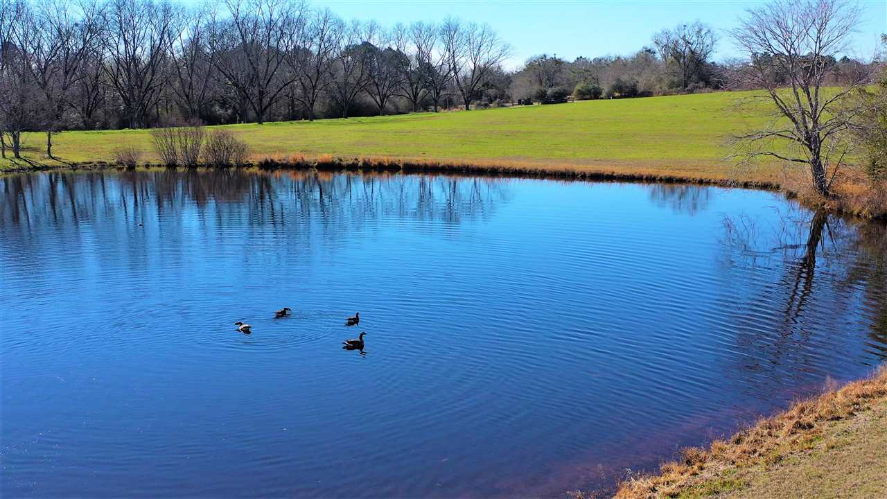 17132 Horn Hill Road Opp, AL 36467 - Photo 42 of 43 Gallery Image 42