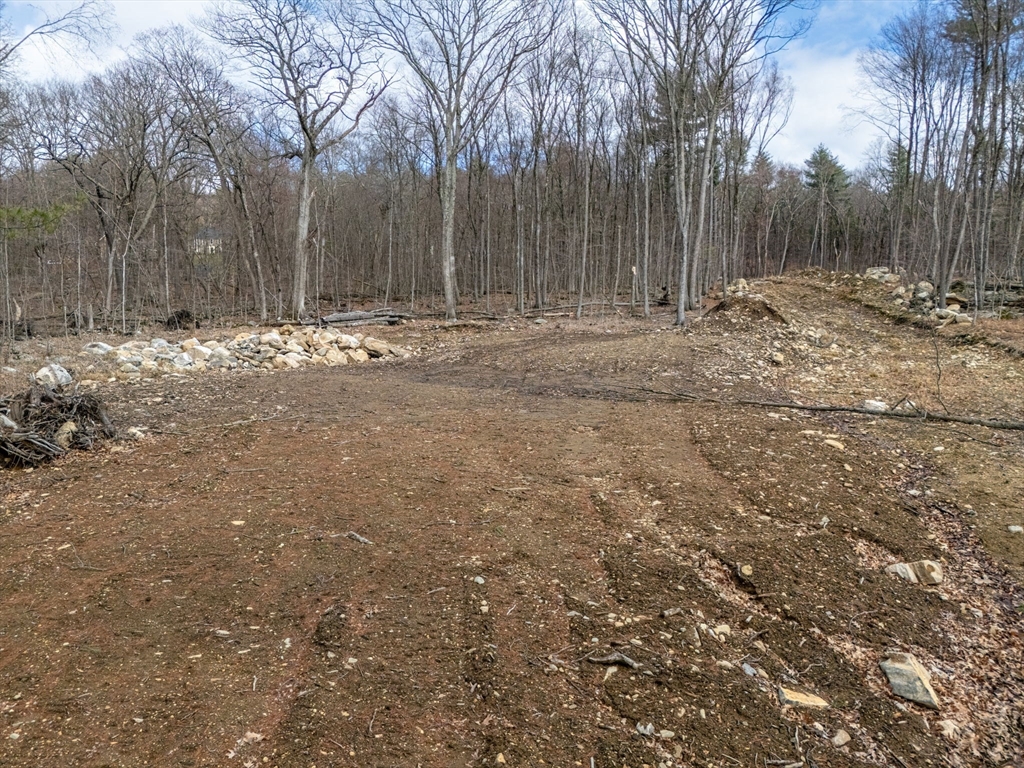 98 Meadow Road Bolton, MA 01740 - Photo 4 of 6 a fire hydrant in the middle of a yard
