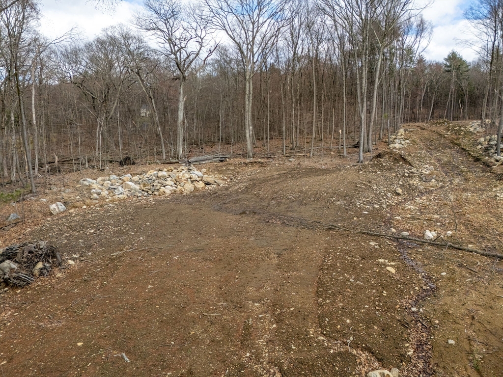 98 Meadow Road Bolton, MA 01740 - Photo 6 of 6 a backyard of a house with large trees