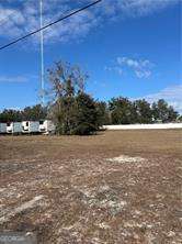 Parcel 2 Shellman Bluff Road Northeast Townsend, GA 31331 - Photo 2 of 5