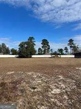 $224,900 | Parcel 2 Shellman Bluff Road Northeast, Townsend, GA 31331