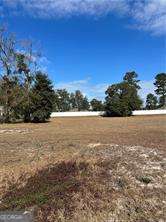 Parcel 2 Shellman Bluff Road Northeast Townsend, GA 31331 - Photo 5 of 5