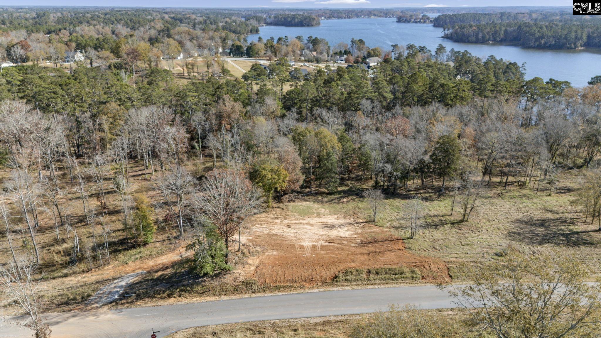 0 Lands End Lane Prosperity, SC 29127 - Photo 4 of 21