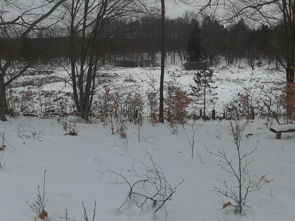3482 East Baseline Road Hart, MI 49420 - Photo 2 of 10 imagejpeg_0 (5)