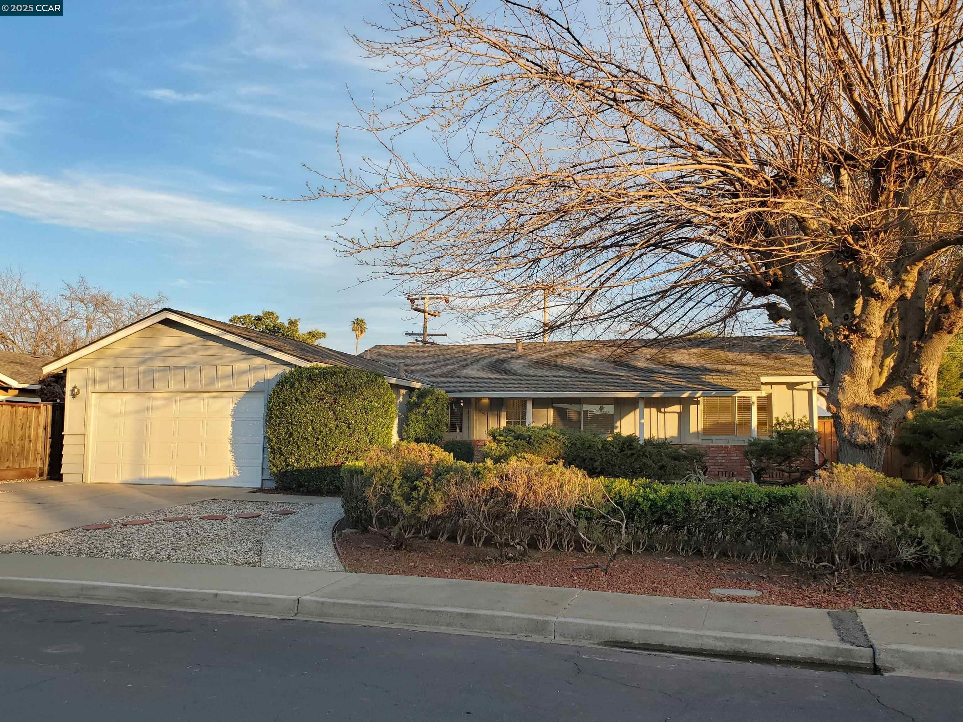 1616 Eve Drive Concord, CA 94521 - Photo 1 of 28 a front view of a house with a yard