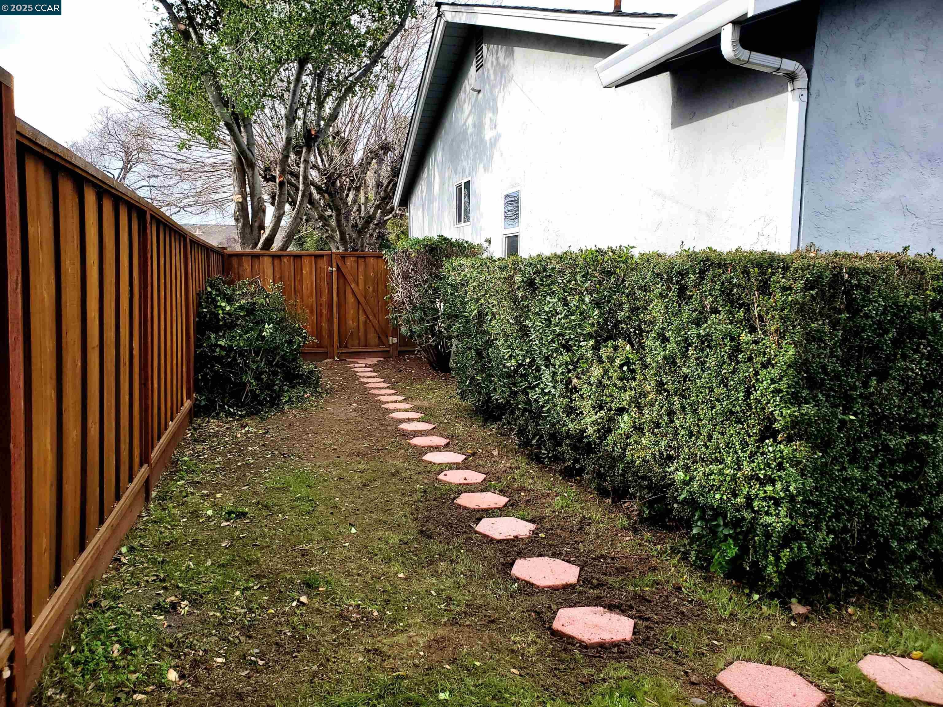 1616 Eve Drive Concord, CA 94521 - Photo 4 of 28 a view of a backyard with plants