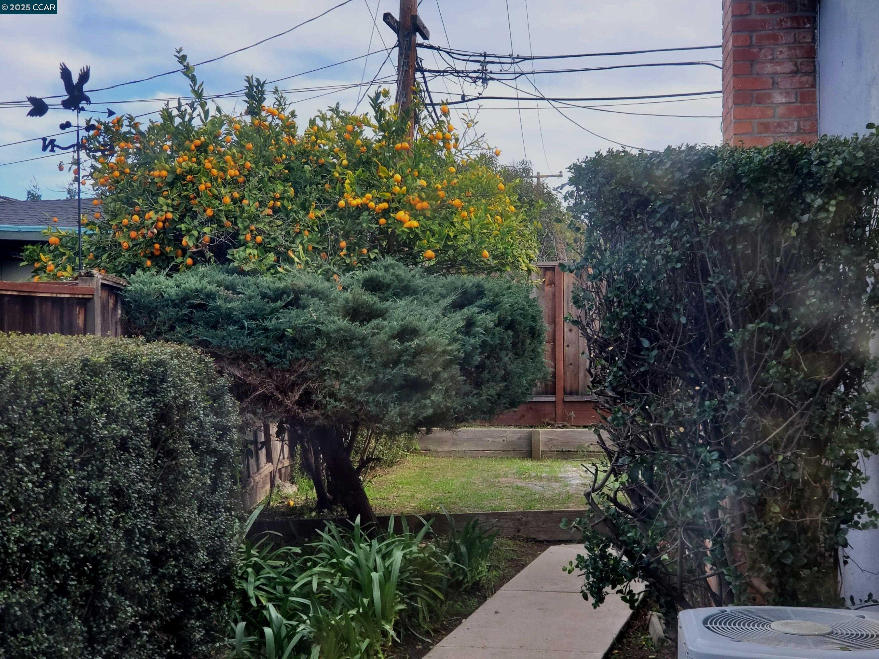 1616 Eve Drive Concord, CA 94521 - Photo 7 of 28 a view of a pathway in front of house