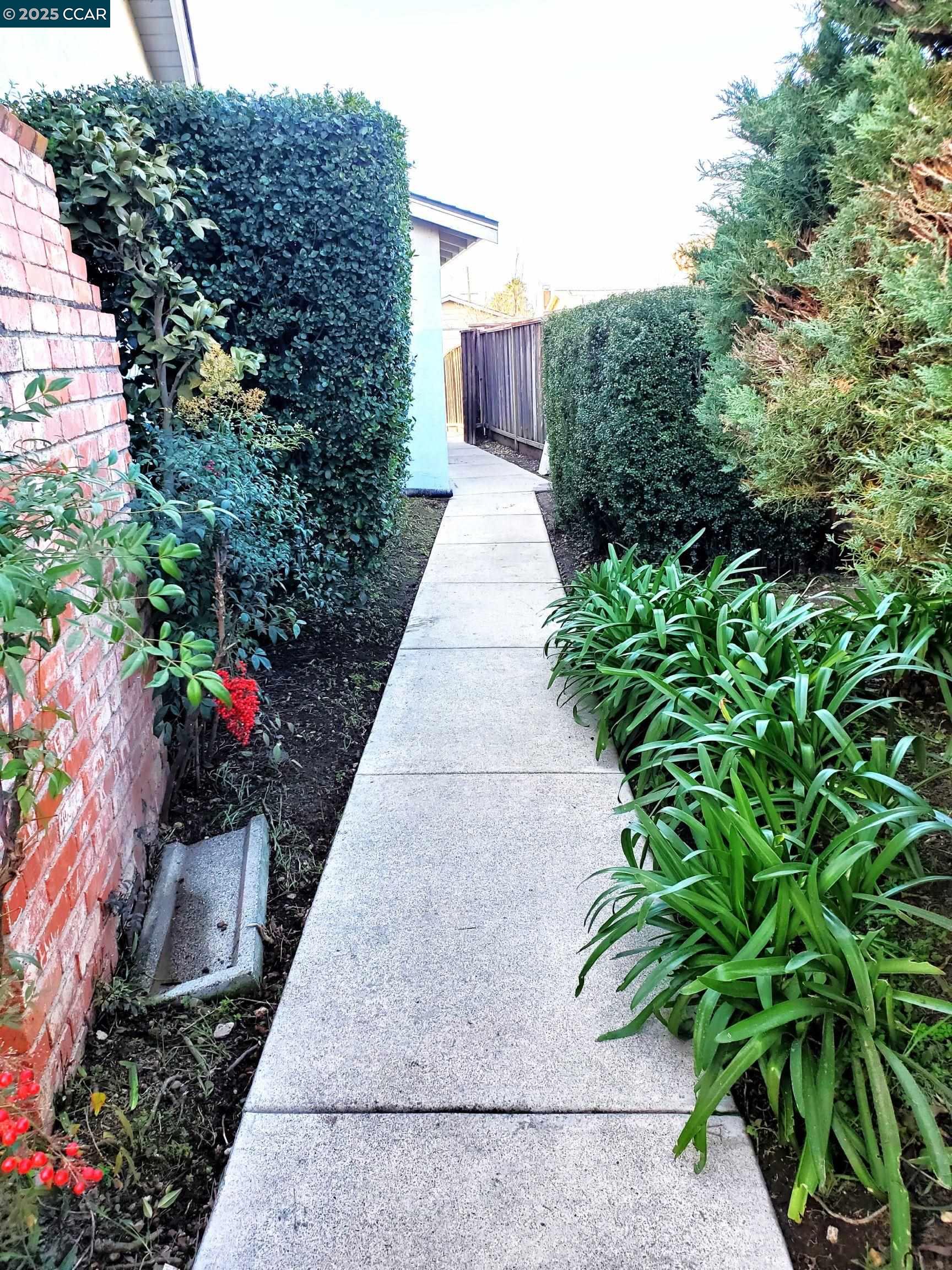 1616 Eve Drive Concord, CA 94521 - Photo 8 of 28 a view of a pathway with a house