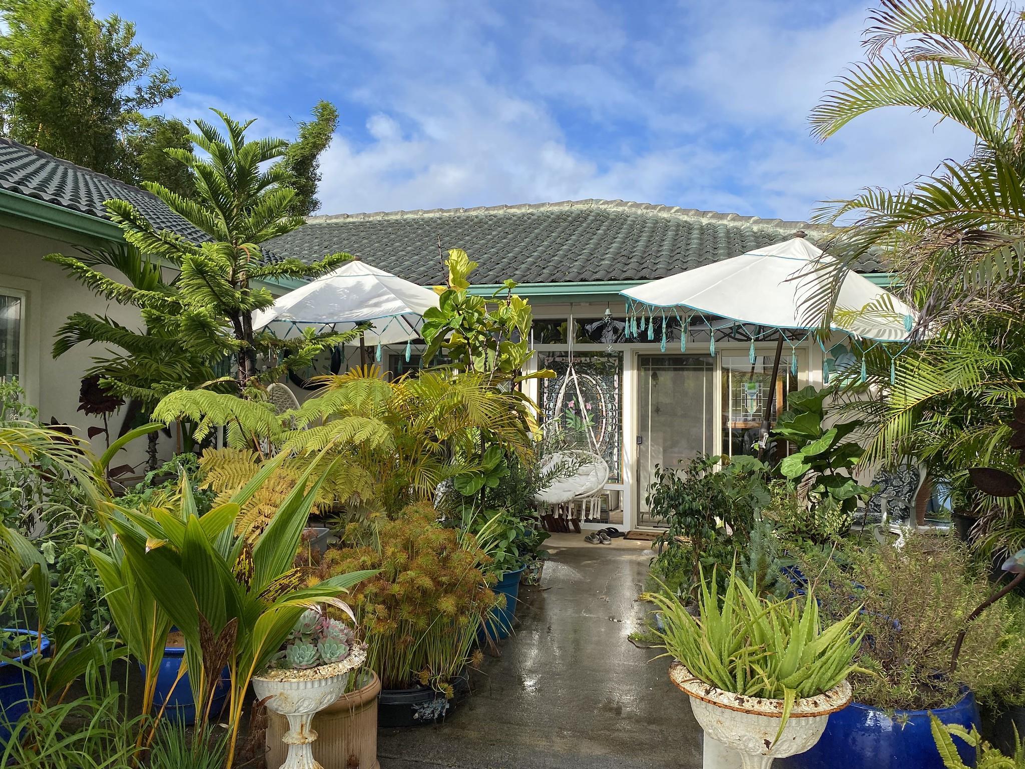 230 North Holokai Road, Unit B Haiku, HI 96708 - Photo 3 of 36 a view of a garden with plants