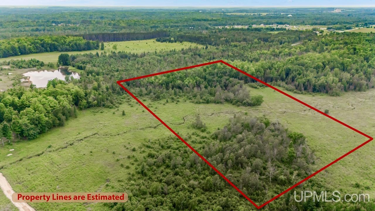 Tbd Tbd Delta Menominee C Road Bark River, MI 49807 - Photo 3 of 13