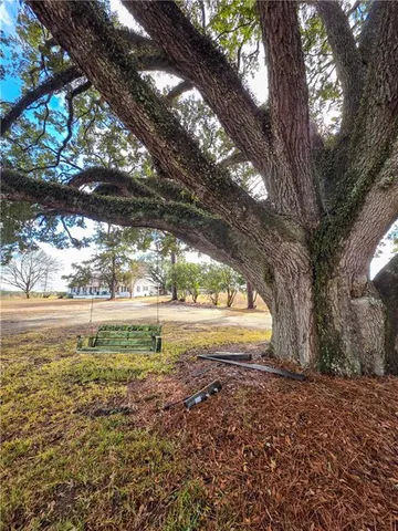 $545,000 | 589 Jacksonville Scotland Road, Jacksonville, GA 31544