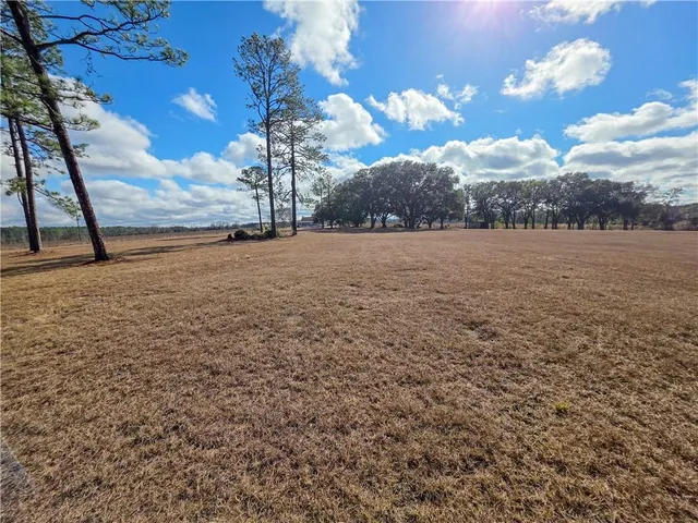 $545,000 | 589 Jacksonville Scotland Road, Jacksonville, GA 31544