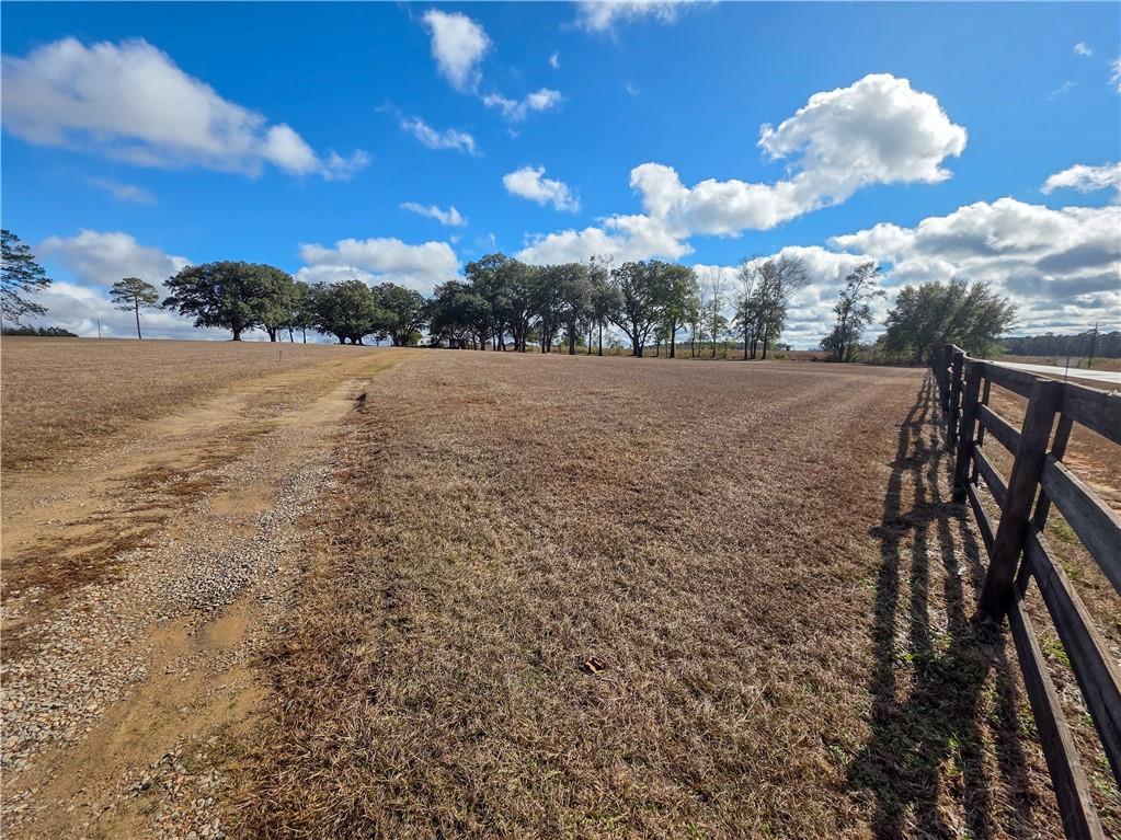 589 Jacksonville Scotland Road Jacksonville, GA 31544 - Photo 85 of 87