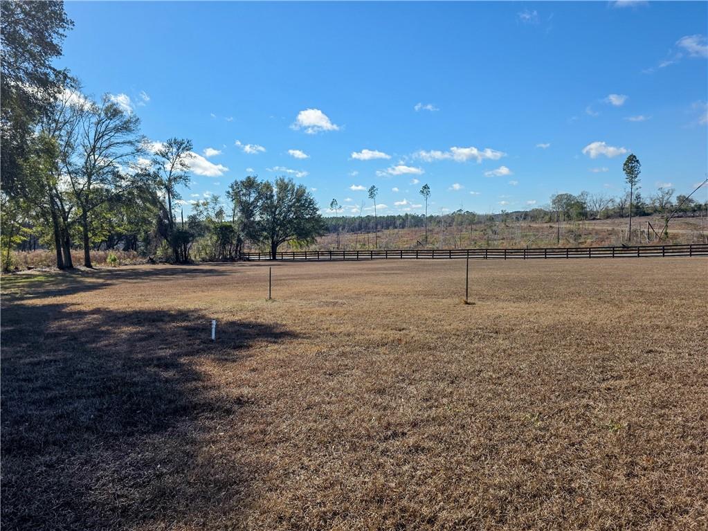 589 Jacksonville Scotland Road Jacksonville, GA 31544 - Photo 86 of 87