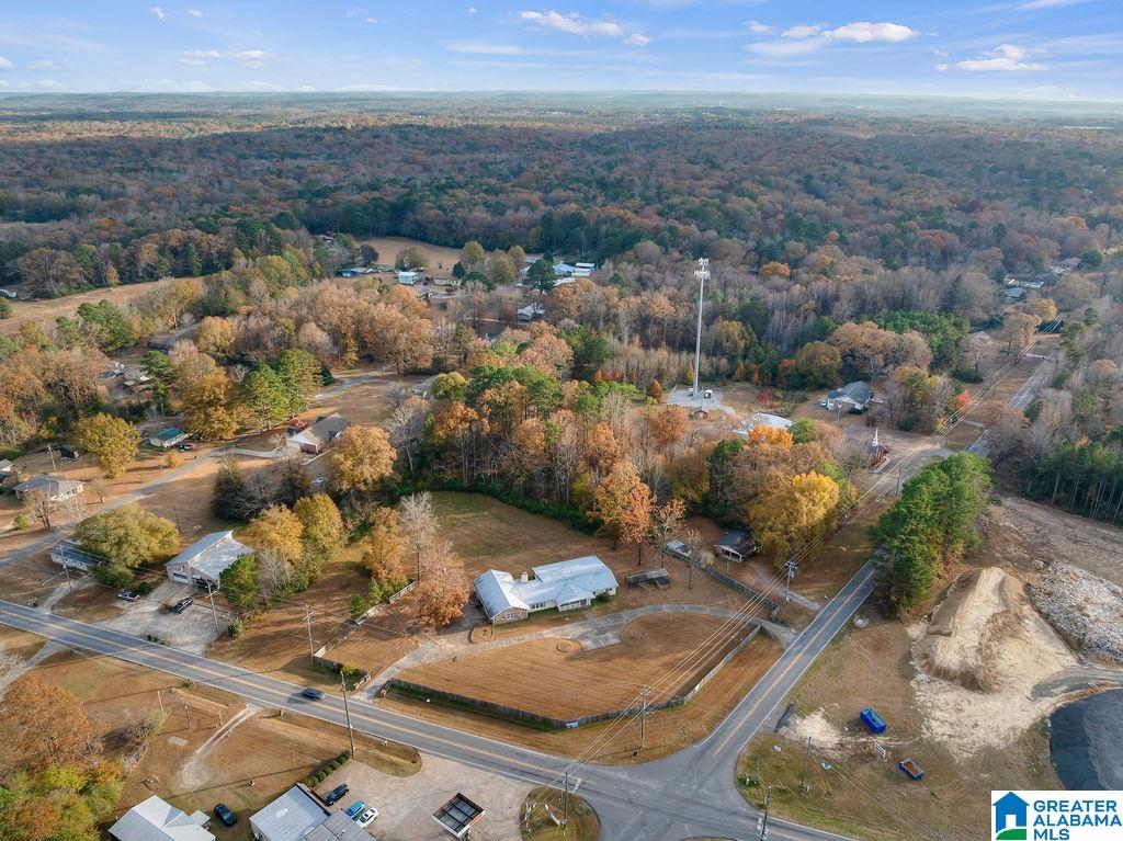 2366 North Walston Bridge Road Jasper, AL 35504 - Photo 42 of 52