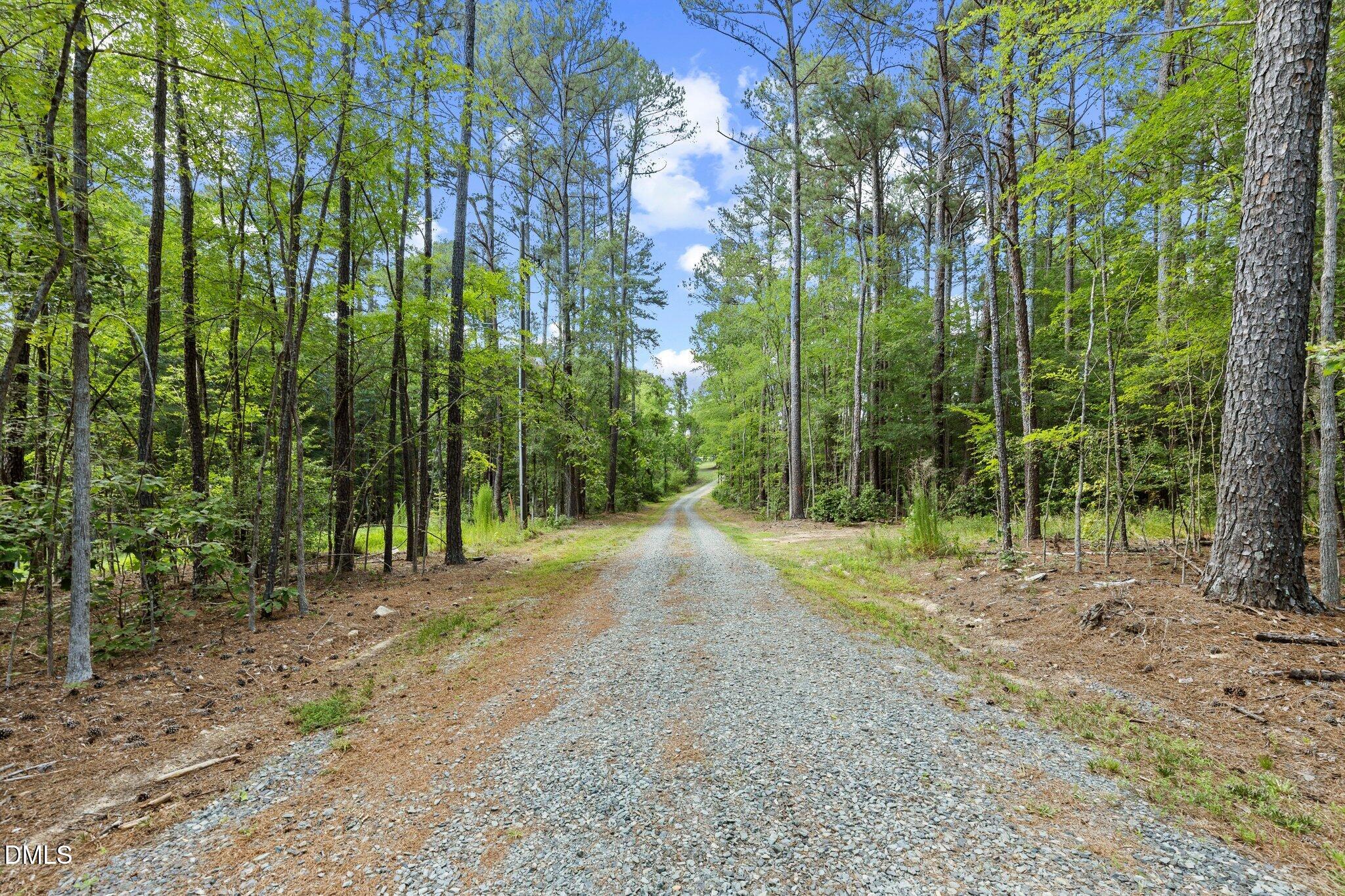 2946 Silk Hope Gum Spring Road Pittsboro, NC 27312 - Photo 36 of 41 Driveway