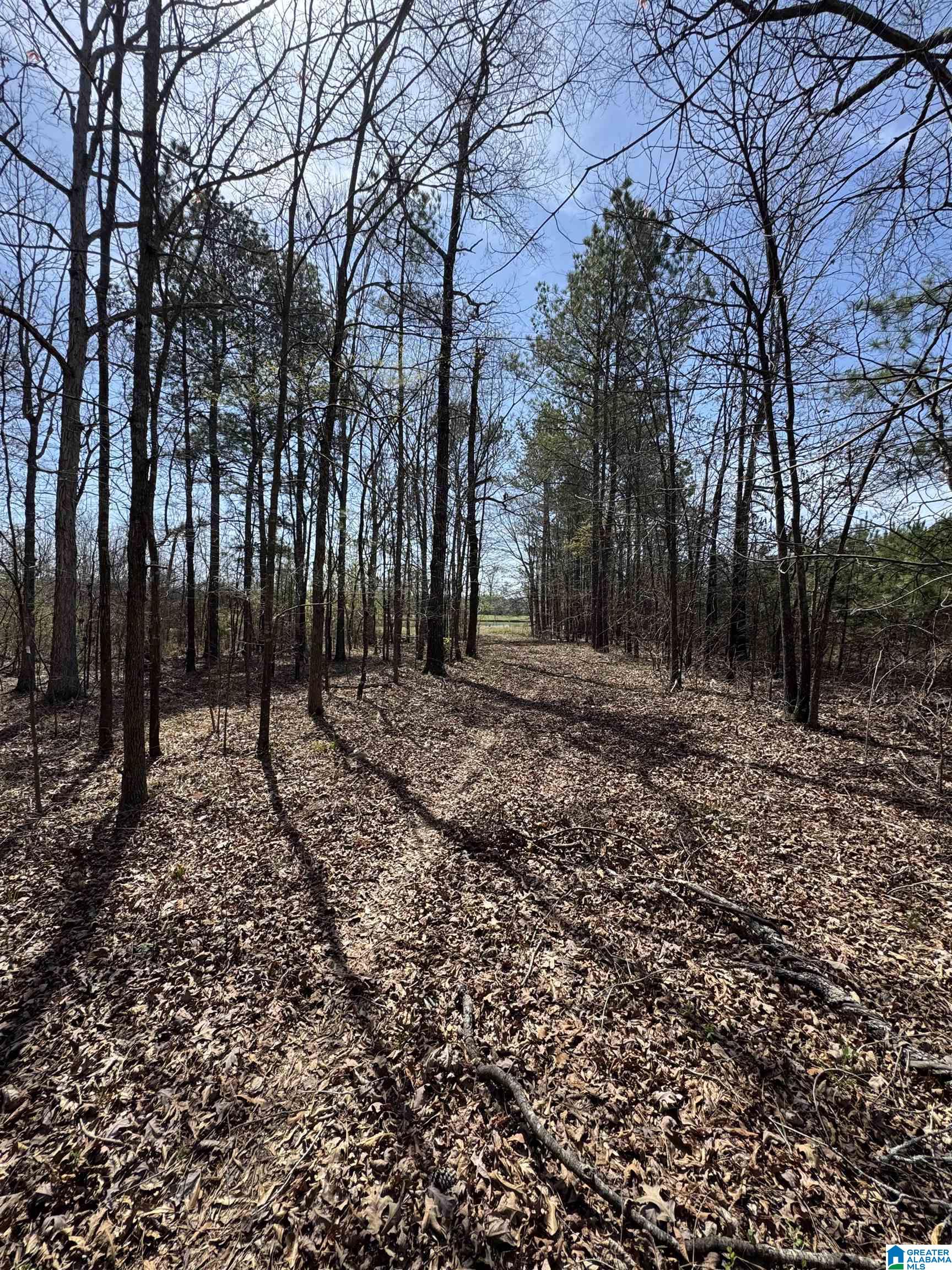 1035 Pleasant Valley Road Rainbow City, AL 35906 - Photo 19 of 25 Gallery Image 19