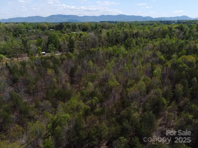 a view of a lush green forest with lush green forest