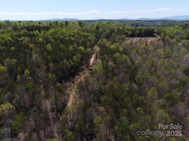 a view of a city with lush green forest