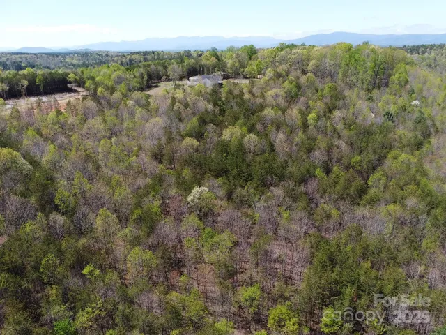an aerial view of forest