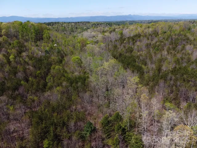 a view of a large trees