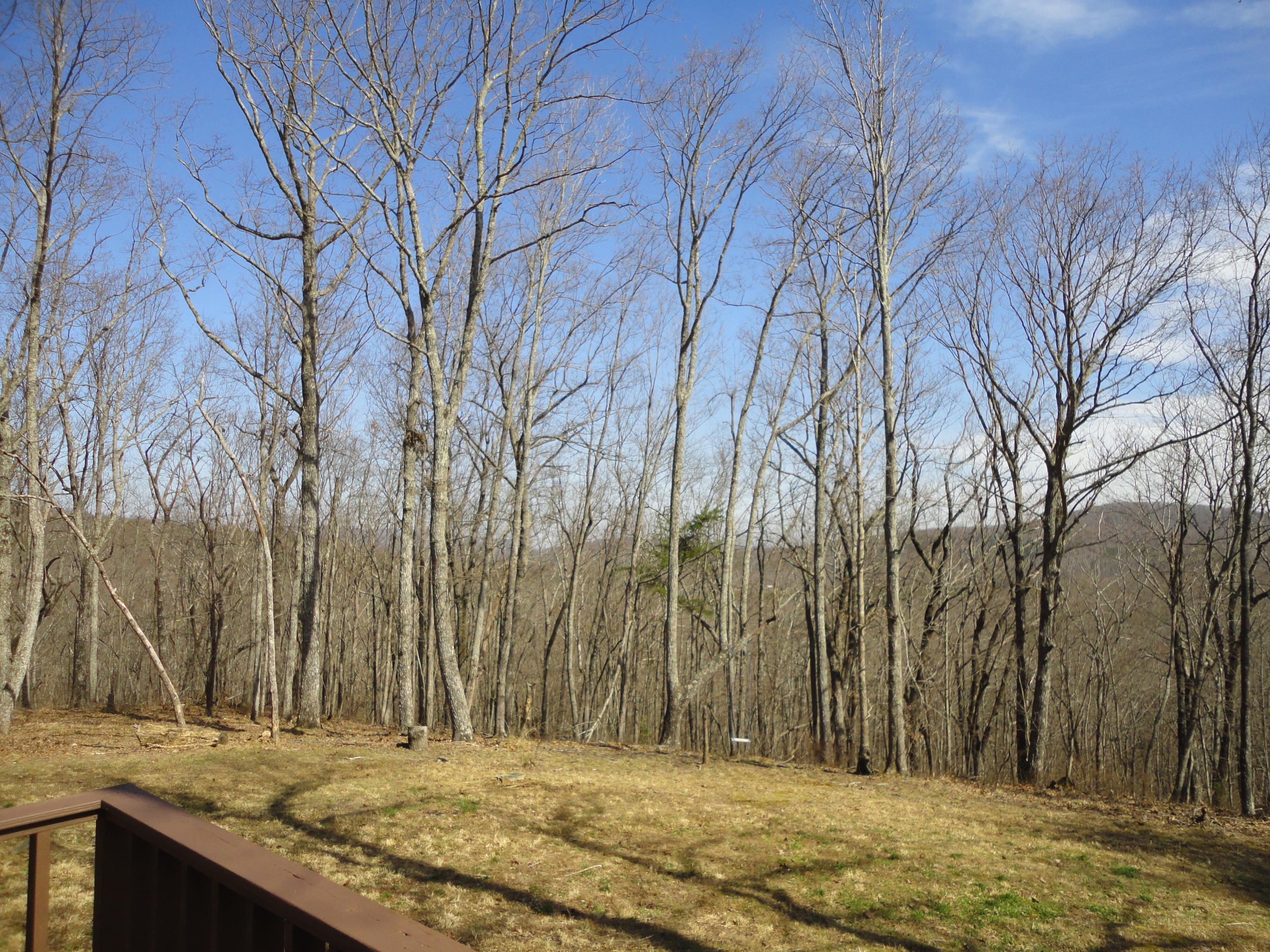 107 Miller Trail Rising Fawn, GA 30738 - Photo 31 of 48 DSC07170