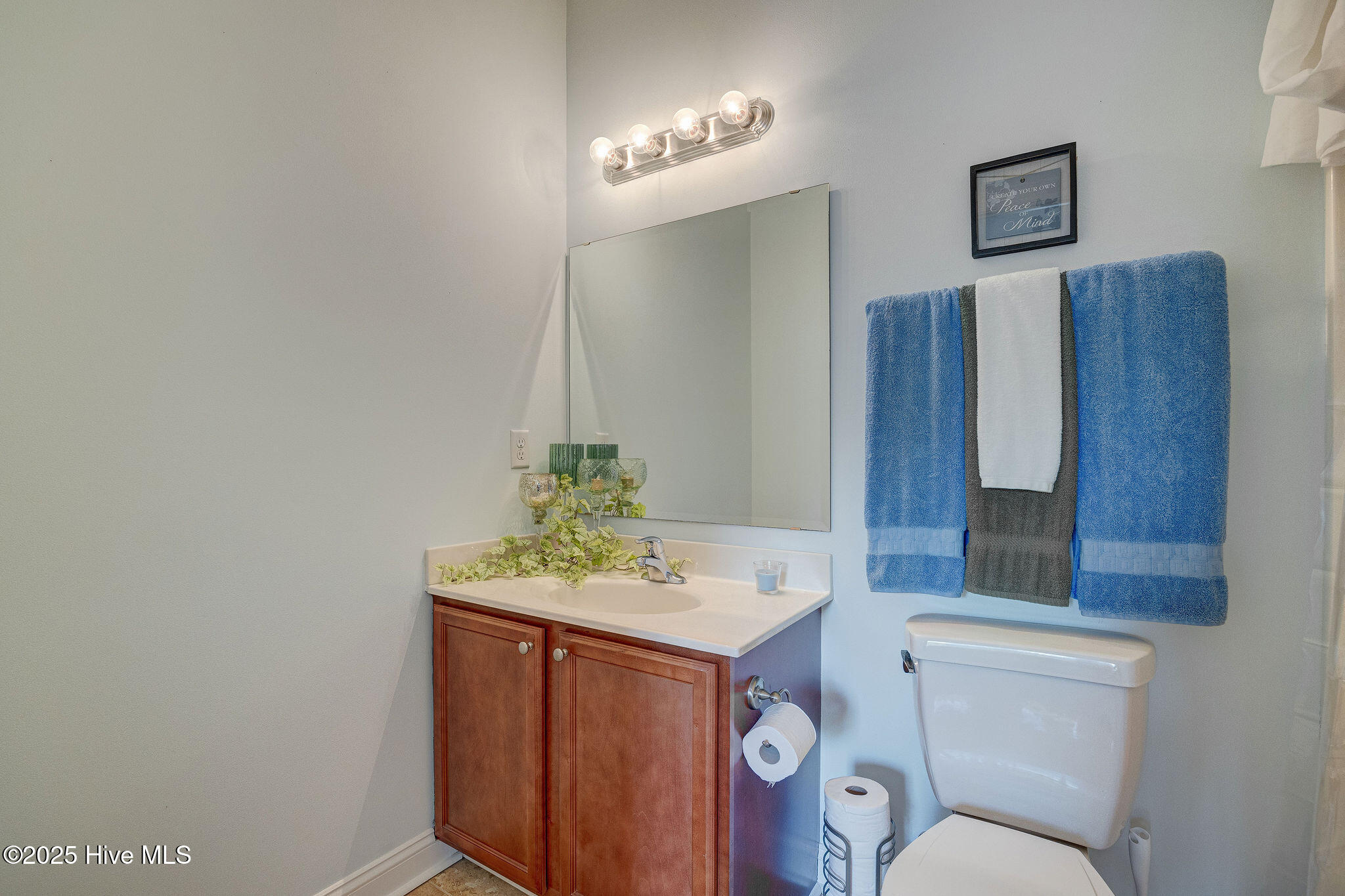 5004 Exton Park Loop Castle Hayne, NC 28429 - Photo 12 of 27 5004ExtonParkLoop(24)