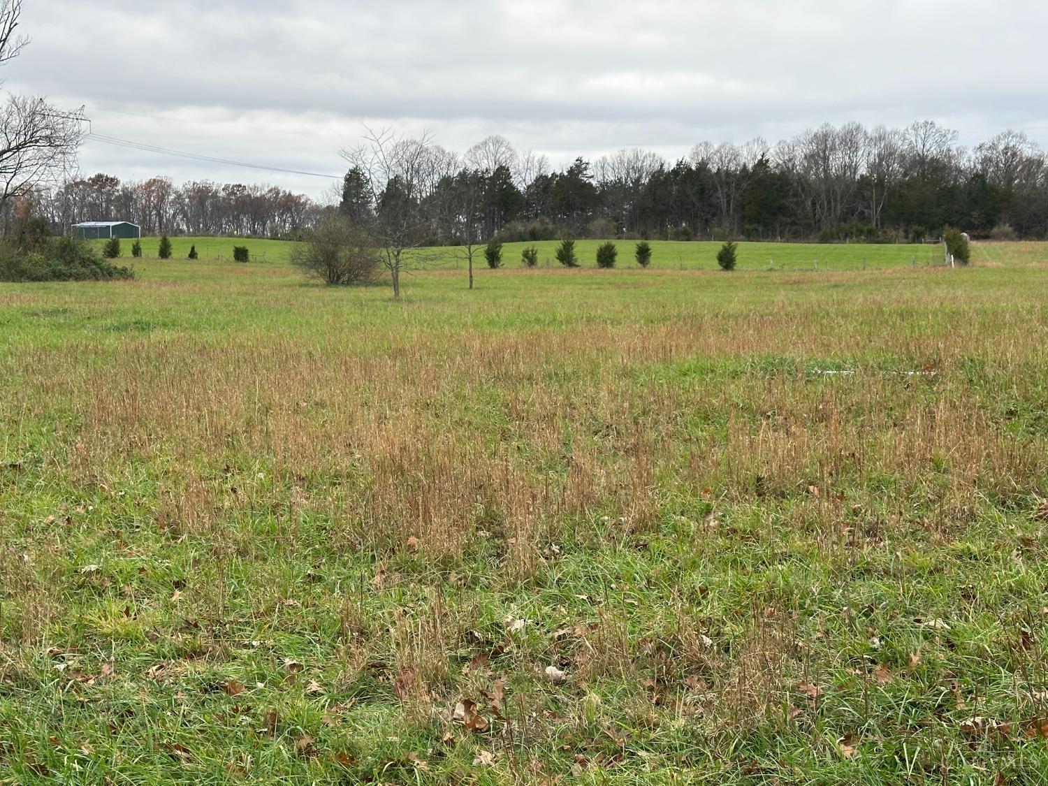 0 Sinking Spring Road Hillsboro, OH 45133 - Photo 12 of 15