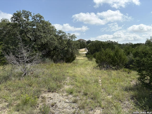 Lot 2025 Split Ridge Spring Branch, TX 78070 - Photo 16 of 35