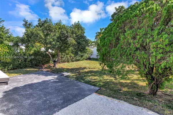 a view of a yard with trees