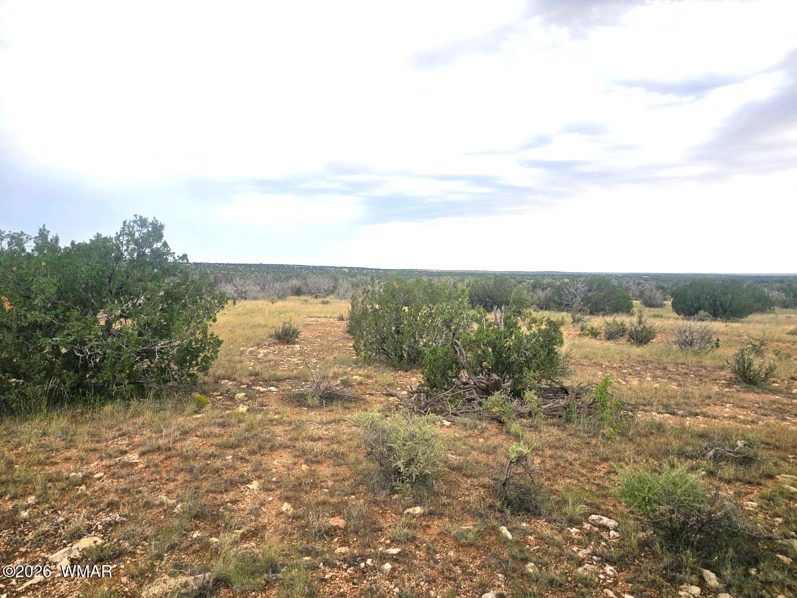 5075 Sidlyn Road Heber, AZ 85928 - Photo 11 of 12 Gallery Image 11