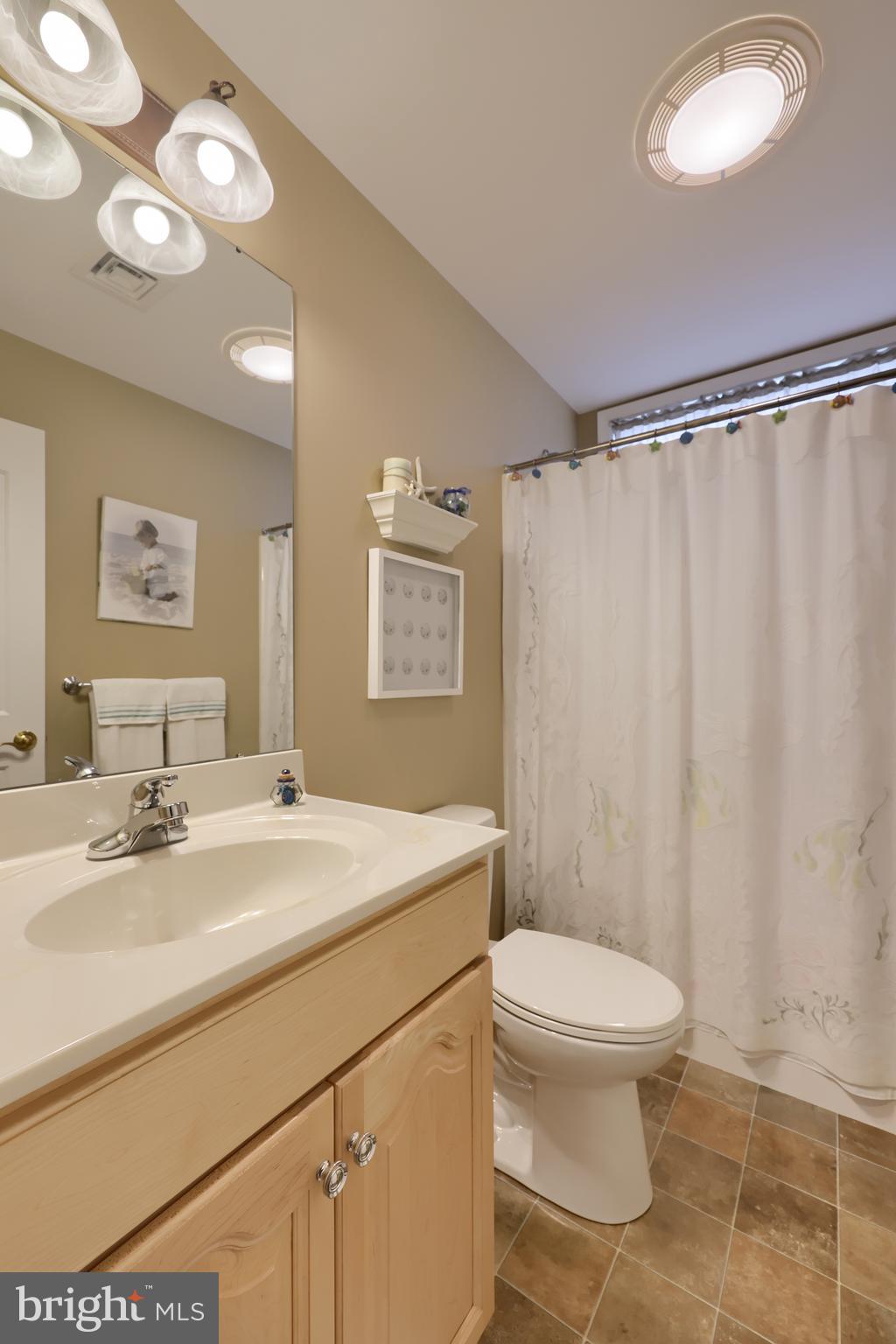 737 Heather Ridge Manheim, PA 17545 - Photo 30 of 40 a bathroom with a sink a toilet a mirror and shower curtain