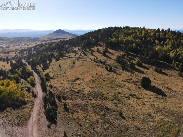 a view of a forest with a forest