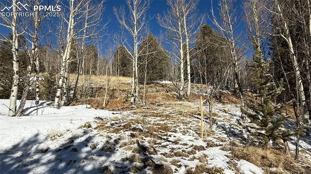 a view of snow on the road