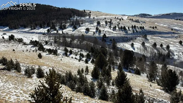 a view of outdoor space with lots of trees