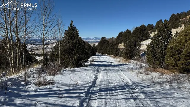 a view of a yard with trees in the background