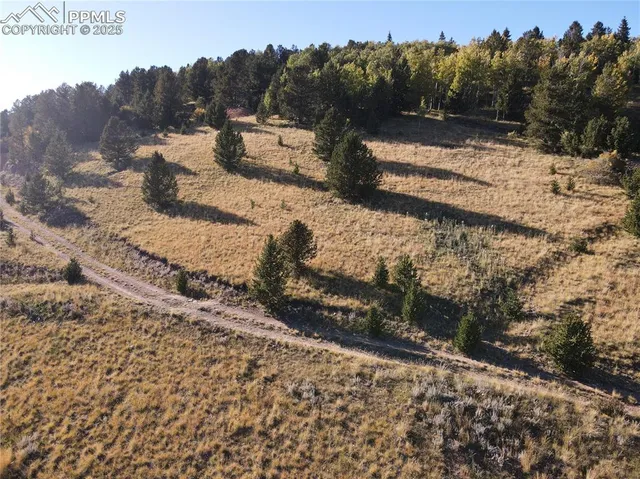 a view of a yard with mountain view