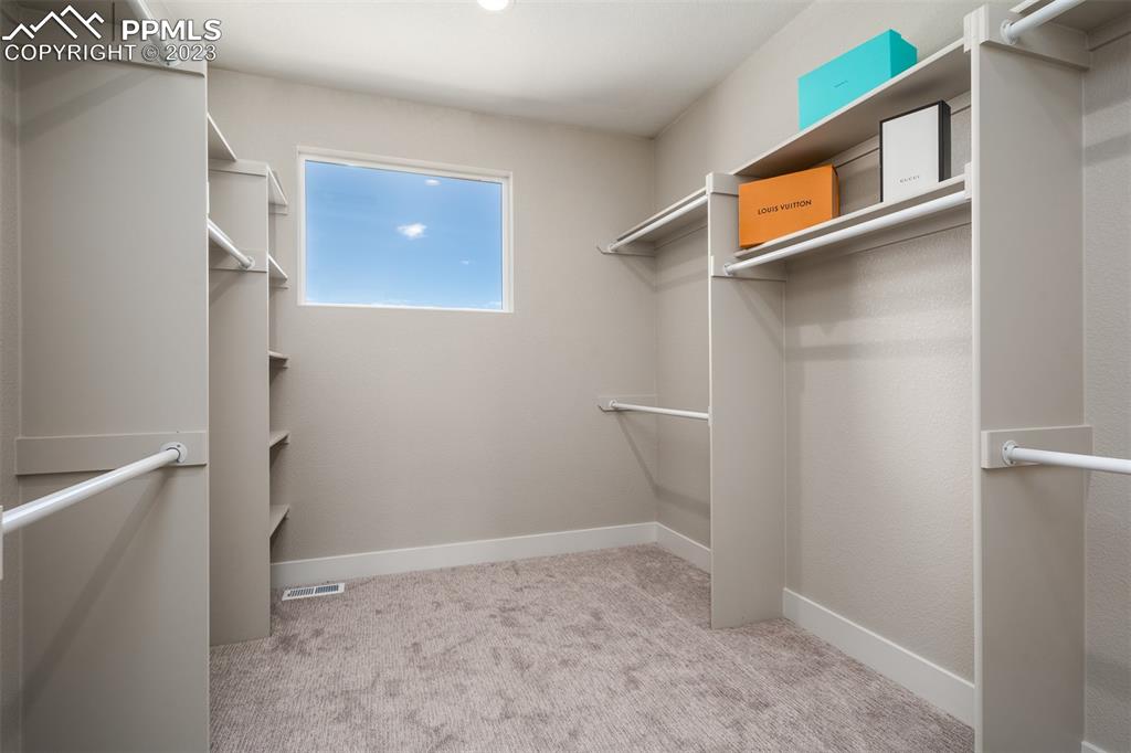 3397 Bark Tree Trail Colorado Springs, CO 80921 - Photo 26 of 50