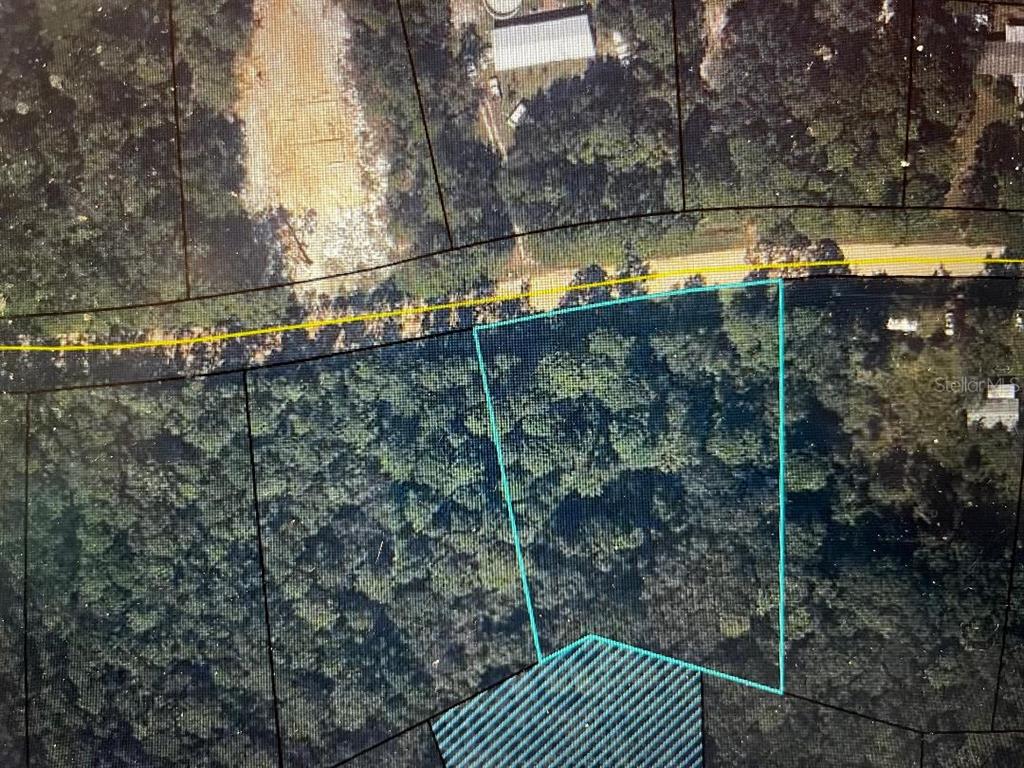 83 Sorrel Street Middleburg, FL 32068 - Photo 3 of 3