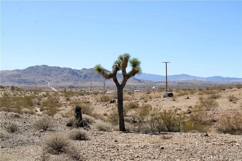 5 Sunny Vista Road Joshua Tree, CA 92252 - Photo 9 of 18