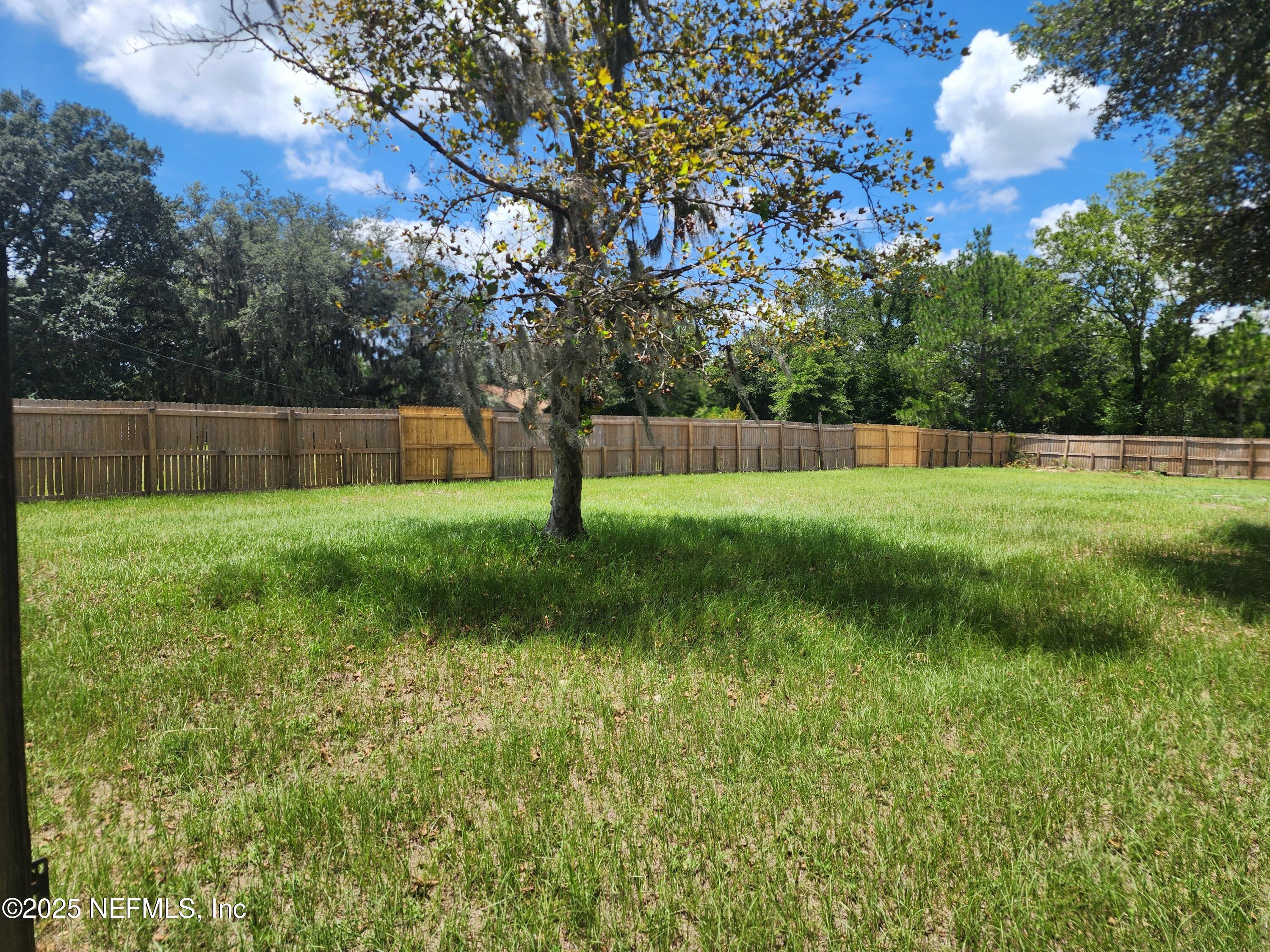 3794 Ron Road Green Cove Springs, FL 32043 - Photo 30 of 34 a view of swimming pool with a yard