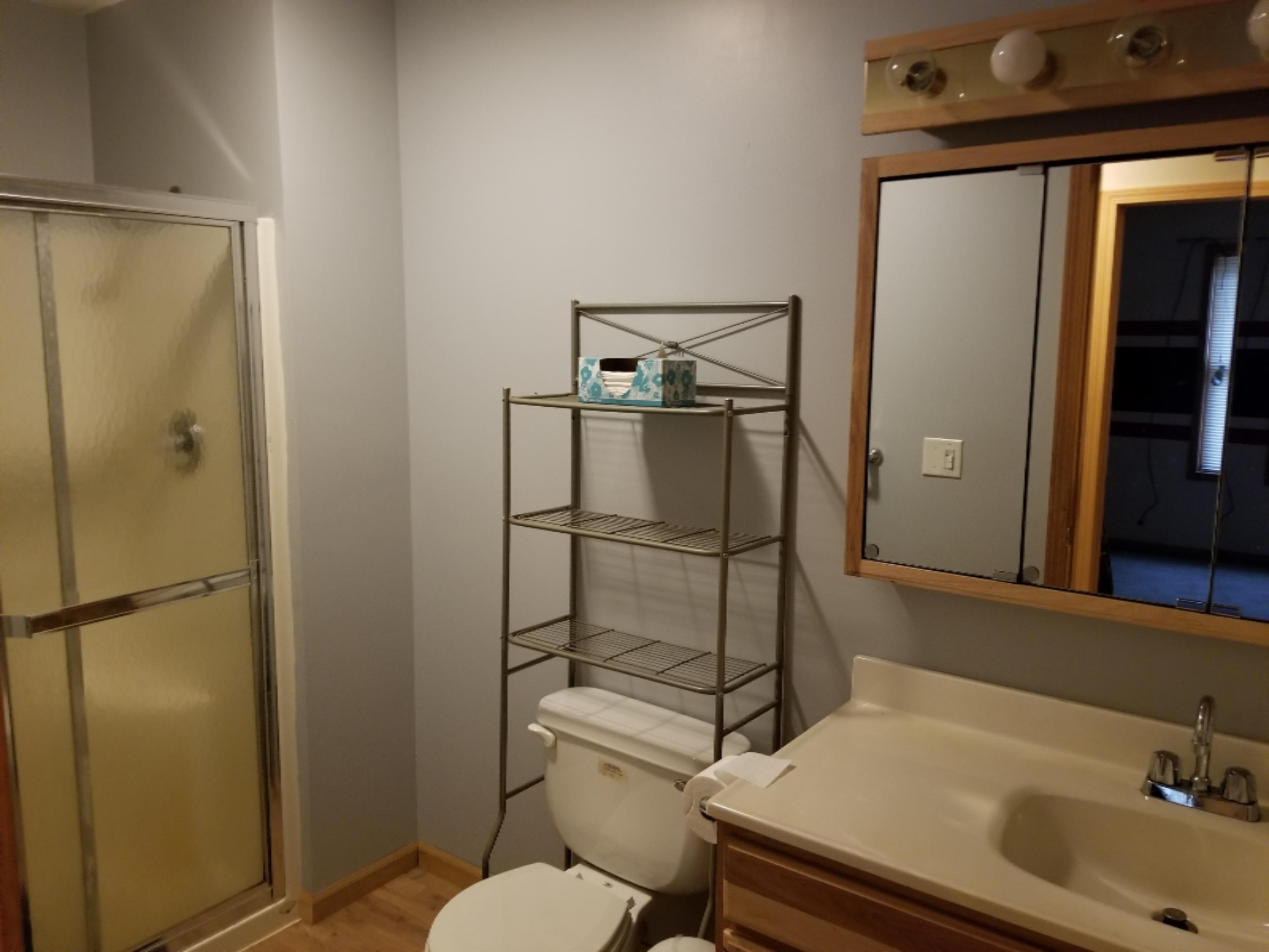 2470 Tripp Road Osseo, MI 49266 - Photo 11 of 23 Bath 2