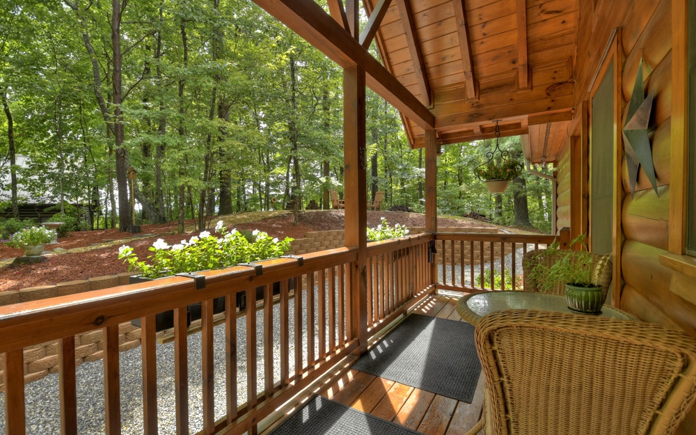 157 Little Bushy Head Road Blue Ridge, GA 30513 - Photo 50 of 50 Additional View