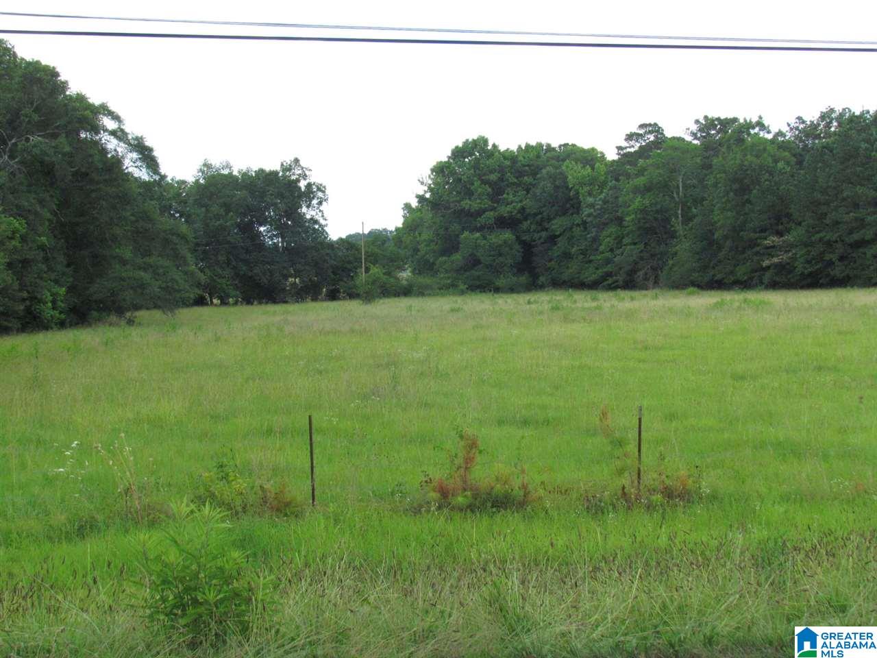 0 Gnatville Road Piedmont, AL 36272 - Photo 1 of 4