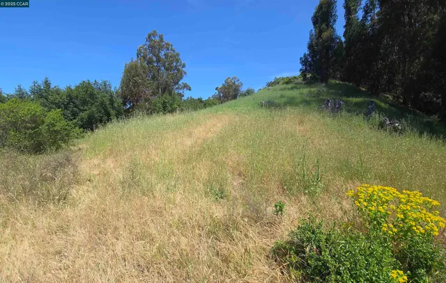 a view of a dry yard