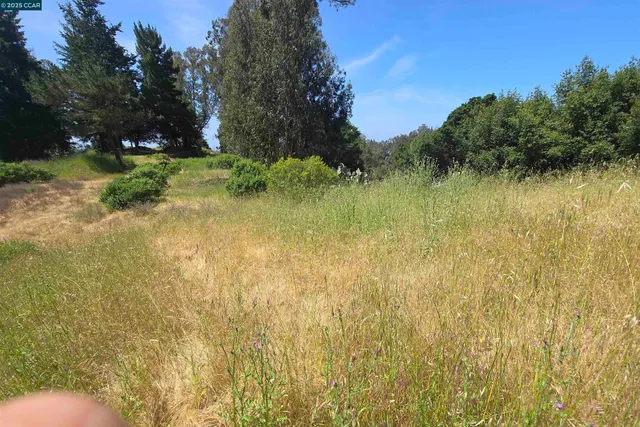 a view of a lake with a house in the background